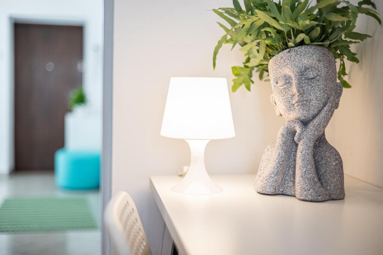 Vintage Senacka 9/7 Apartment 克拉科夫 外观 照片